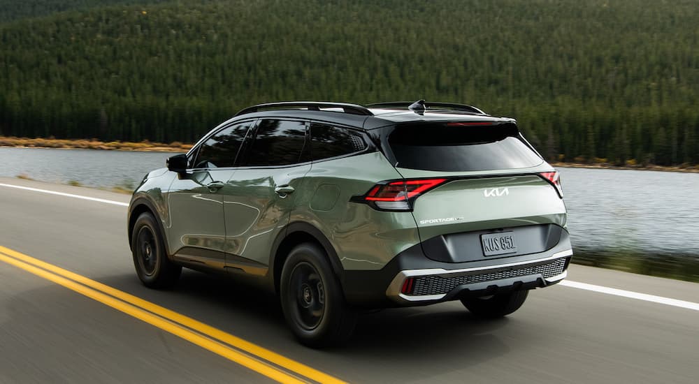 A green 2025 Kia Sportage is shown from the rear at an angle.