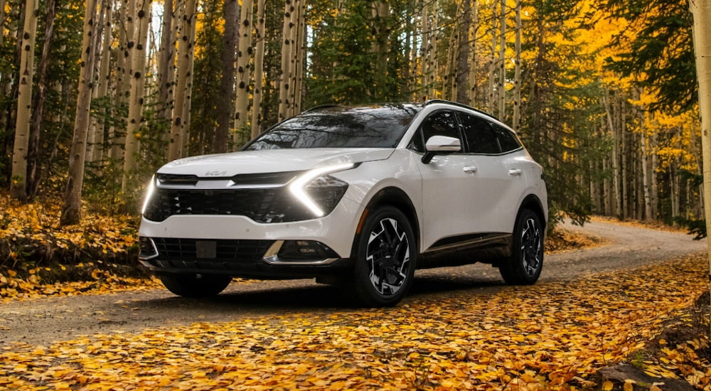 A white 2024 Kia Sportage parked on a leaf covered road.