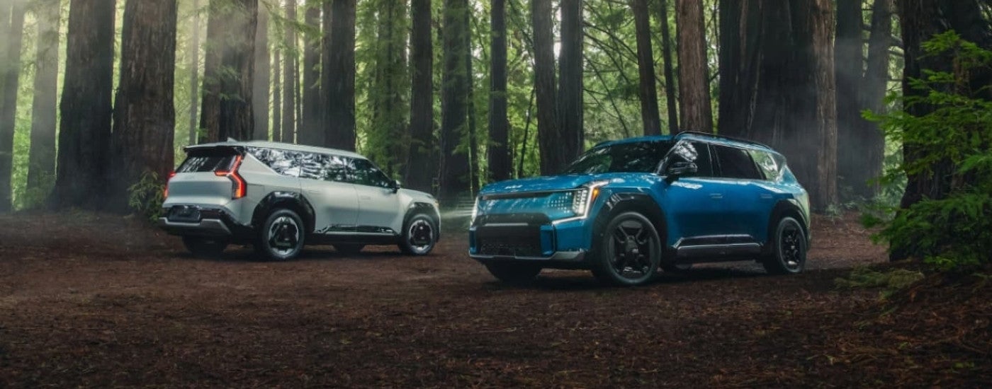 A white and a blue 2024 Kia EV9 parked in a forest after leaving a Kia dealer near Waukesha.